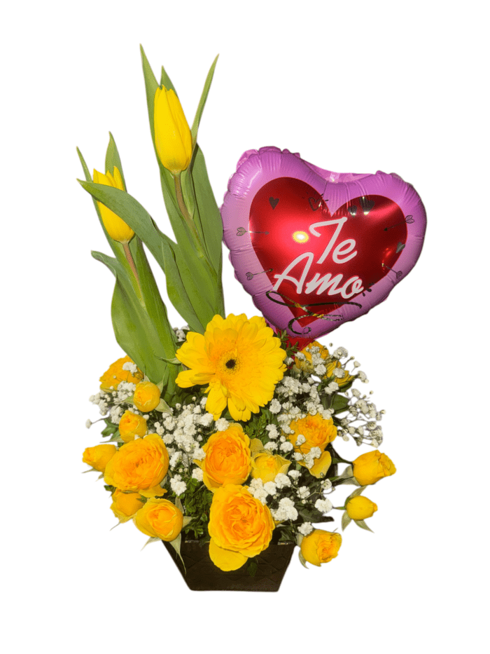 Maceta negra de Tulipanes y Gerberas - Imagen 2